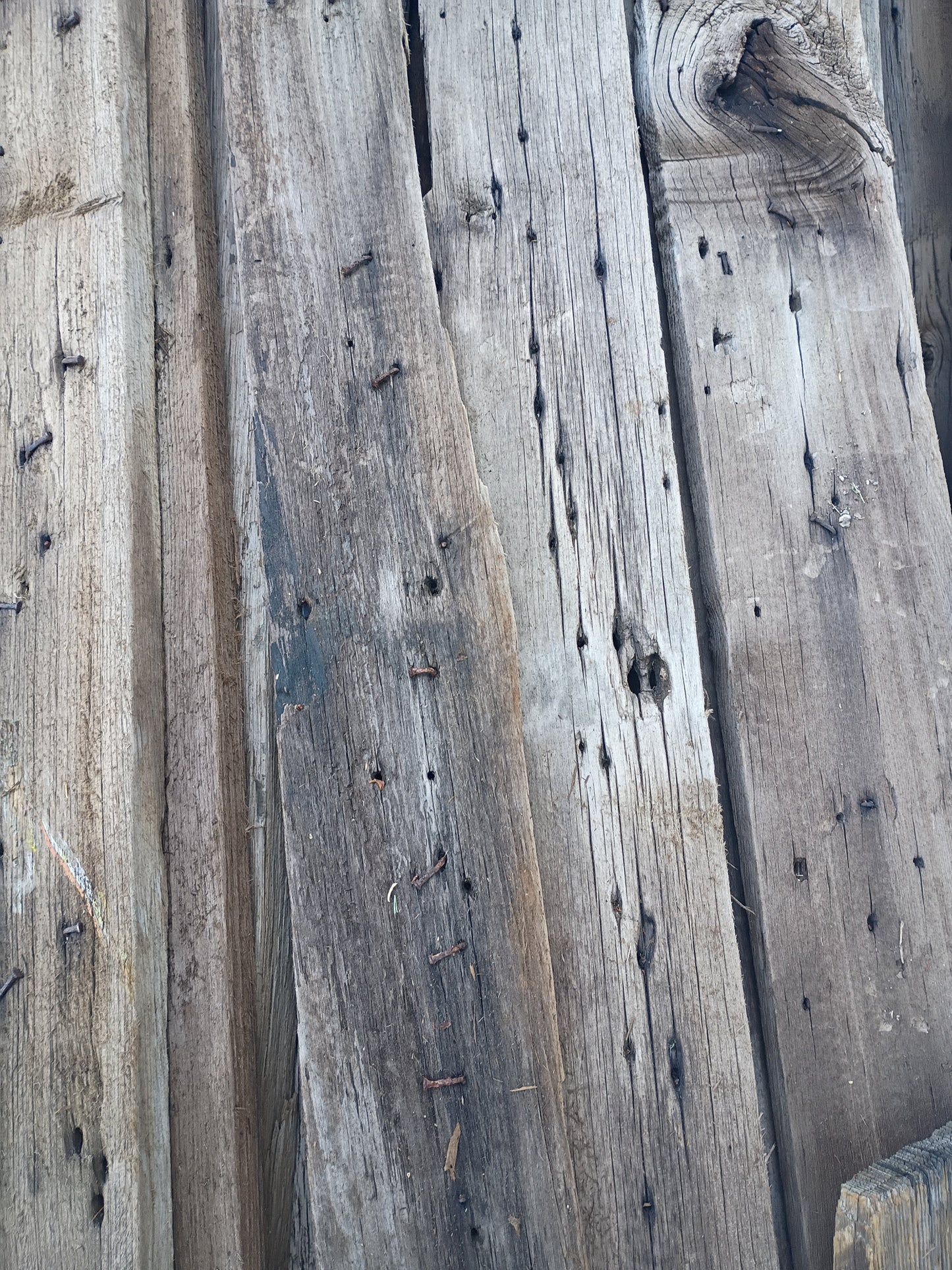 Reclaimed poplar grain 120 year old posts