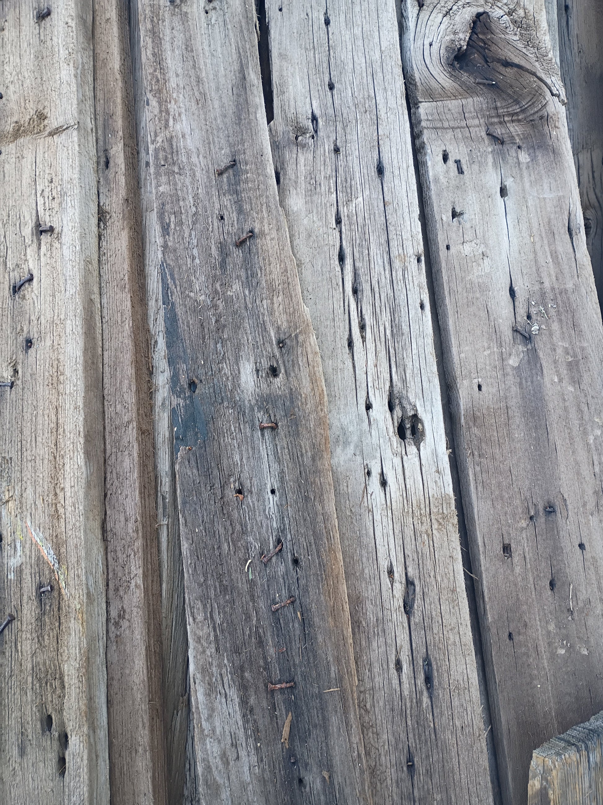 Reclaimed poplar grain 120 year old posts