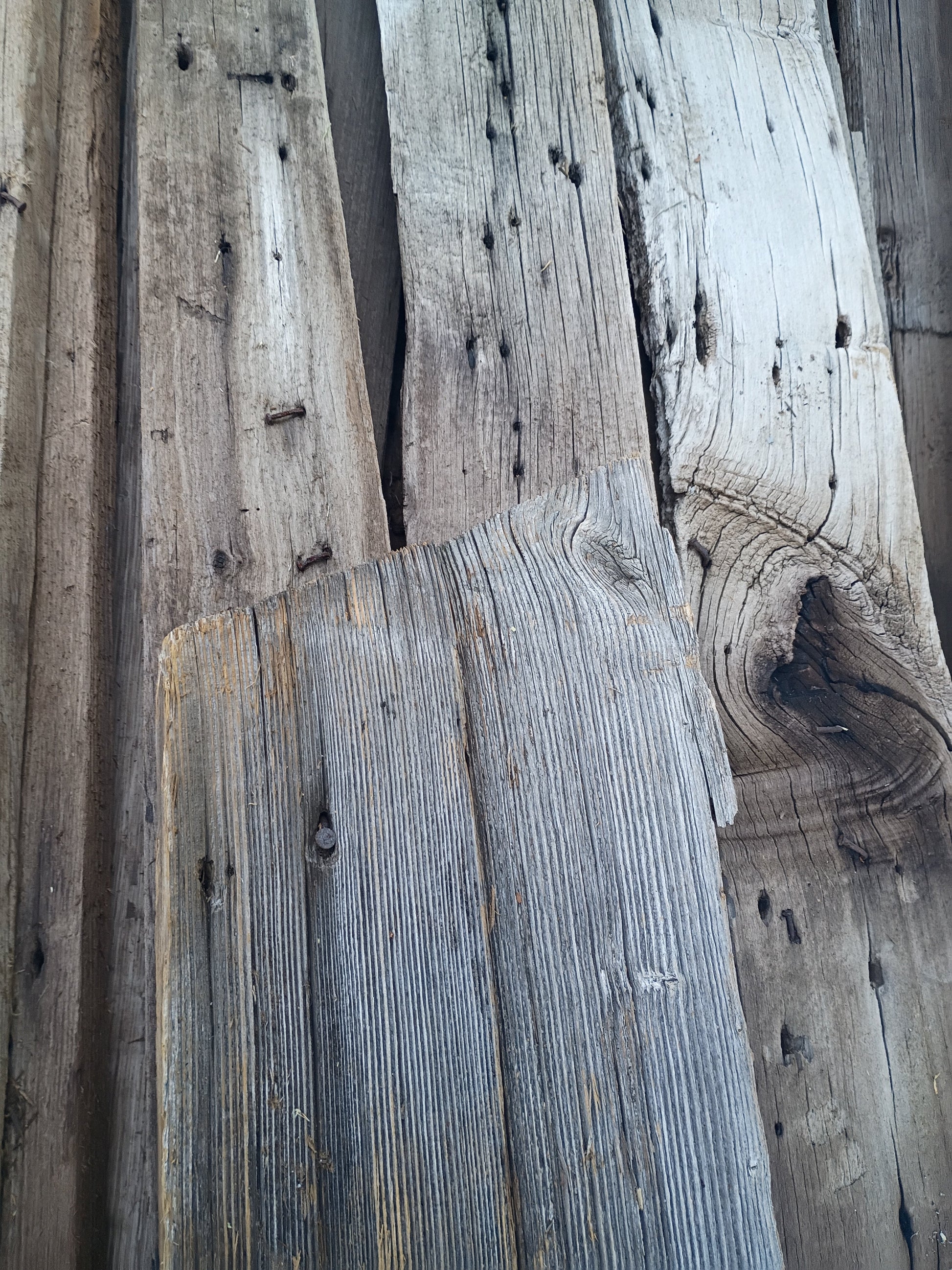 Reclaimed yellow poplar wood grain close up